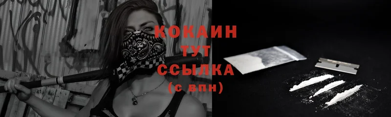 купить  цена  Мытищи  COCAIN FishScale 